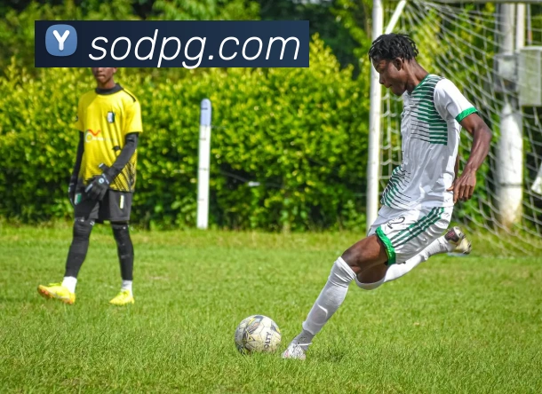 pg电子服务体系